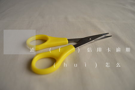浦發(fā)信用卡逾期2萬(wàn)沒還會(huì)怎么樣-浦發(fā)信用卡逾期2萬(wàn)沒還會(huì)怎么樣嗎