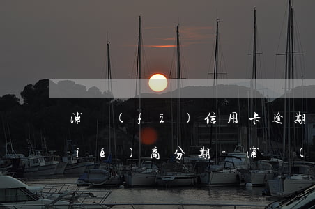 浦發(fā)信用卡逾期30天怎么協(xié)商分期-浦發(fā)信用卡逾期30天怎么協(xié)商分期還款