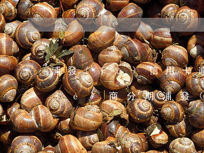 浦發(fā)信用卡逾期30天怎么協(xié)商分期（浦發(fā)信用卡逾期30天）
