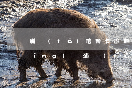 浦發(fā)信用卡逾期30萬起訴經(jīng)歷(浦發(fā)銀行十幾萬逾期了銀行起訴怎么辦)