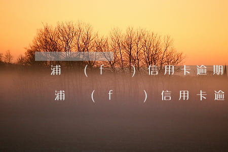 浦發(fā)信用卡逾期31天就升級處理 浦發(fā)信用卡逾期31天就升級處理可行嗎