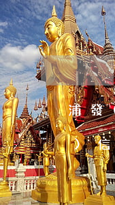 浦發(fā)信用卡逾期32天(浦發(fā)信用卡逾期32天怎么辦)