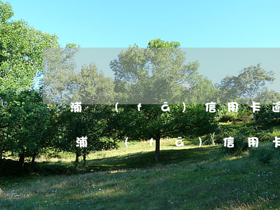 浦發(fā)信用卡逾期34天要還全款-浦發(fā)信用卡逾期34天要還全款嗎