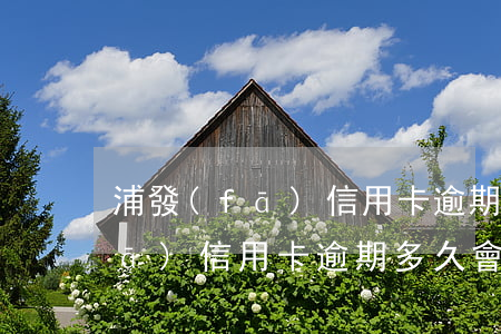 浦發(fā)信用卡逾期3500(浦發(fā)信用卡逾期多久會被起訴或者上門)