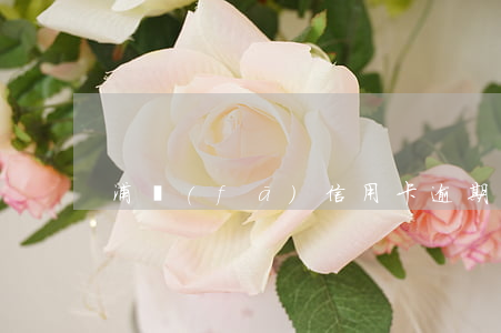 浦發(fā)信用卡逾期35天