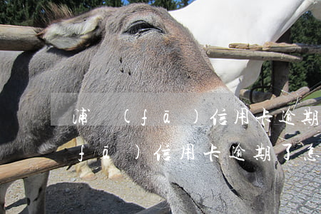 浦發(fā)信用卡逾期38000 浦發(fā)信用卡逾期了怎么跟銀行協(xié)商解決