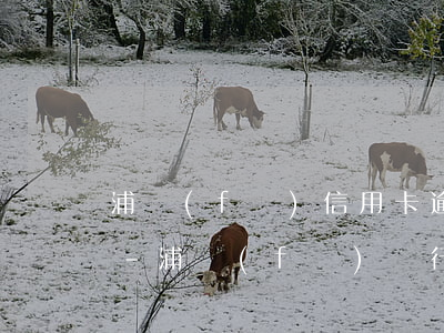 浦發(fā)信用卡逾期3天要求全額還款-浦發(fā)銀行逾期三個(gè)月要求全額還款,協(xié)商不了