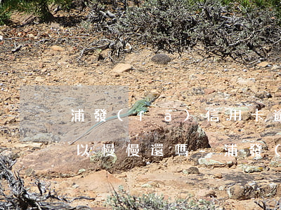 浦發(fā)信用卡逾期3萬(wàn)可以慢慢還嗎-浦發(fā)信用卡逾期3萬(wàn)可以慢慢還嗎知乎