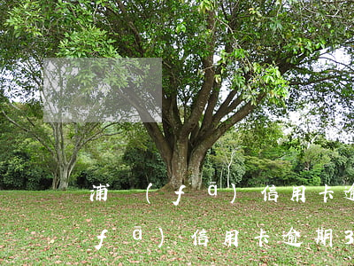 浦發(fā)信用卡逾期3萬會怎樣(浦發(fā)信用卡逾期3萬會怎樣)