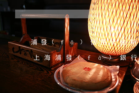 浦發(fā)信用卡逾期44個(gè)月(上海浦發(fā)銀行信用卡欠款五萬(wàn)逾期三個(gè)月)