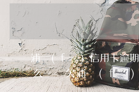 浦發(fā)信用卡逾期4個(gè)月怎么處罰(欠浦發(fā)信用卡三萬元逾期幾個(gè)月會(huì)被起訴呢)