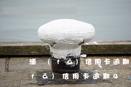浦發(fā)信用卡逾期4個月后果 浦發(fā)信用卡逾期4個月后果嚴重嗎