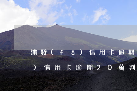 浦發(fā)信用卡逾期57期(浦發(fā)信用卡逾期20萬判刑)