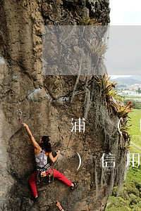 浦發(fā)信用卡逾期5天6 浦發(fā)信用卡逾期5天還最低額度有影響嗎