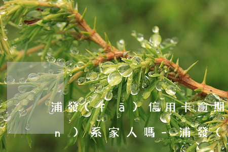 浦發(fā)信用卡逾期5天會聯(lián)系家人嗎-浦發(fā)銀行多久會聯(lián)系家人