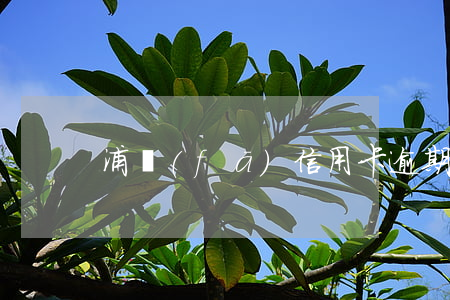 浦發(fā)信用卡逾期5年了怎么處理-