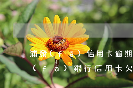 浦發(fā)信用卡逾期5萬以上(上海浦發(fā)銀行信用卡欠款五萬逾期三個(gè)月)