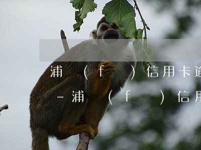 浦發(fā)信用卡逾期6000會起訴嗎-浦發(fā)信用卡逾期6000會起訴嗎是真的嗎
