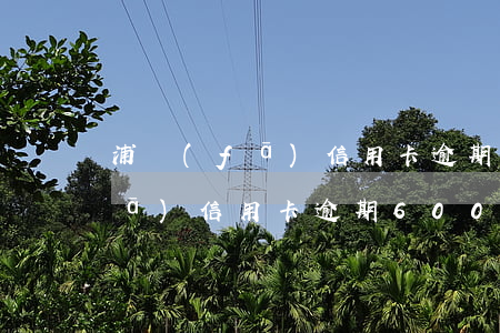 浦發(fā)信用卡逾期6000(浦發(fā)信用卡逾期600多天說(shuō)要凍結(jié)我微信零錢(qián))