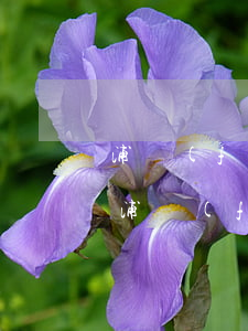 浦發(fā)信用卡逾期6個(gè)月了(浦發(fā)信用卡逾期兩年半)