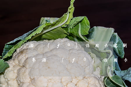 浦發(fā)信用卡逾期6萬(wàn)半年(浦發(fā)信用卡逾期6萬(wàn)半年)