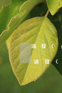 浦發(fā)信用卡逾期6萬3個多月了(欠浦發(fā)信用卡三萬元逾期幾個月會被起訴呢)