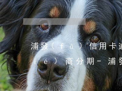 浦發(fā)信用卡逾期6萬多怎么協(xié)商分期-浦發(fā)信用卡逾期6萬多怎么協(xié)商分期還款