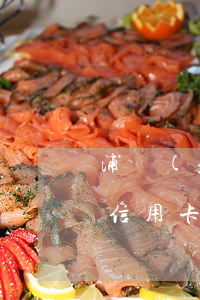浦發(fā)信用卡逾期7千(浦發(fā)信用卡10萬逾期六個月)