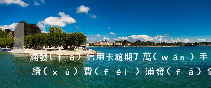 浦發(fā)信用卡逾期7萬(wàn)手續(xù)費(fèi)(浦發(fā)信用卡8萬(wàn)逾期六個(gè)月)