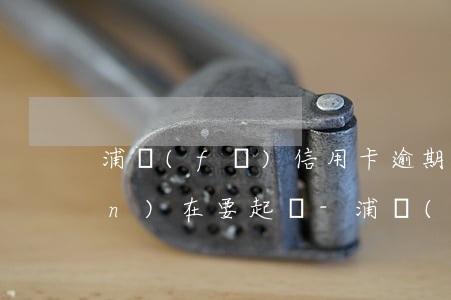 浦發(fā)信用卡逾期8萬多現(xiàn)在要起訴-浦發(fā)信用卡逾期8萬多現(xiàn)在要起訴怎么辦