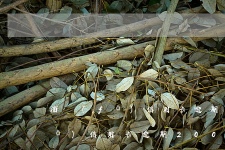 浦發(fā)信用卡逾期901元(浦發(fā)信用卡逾期2000怎么辦)
