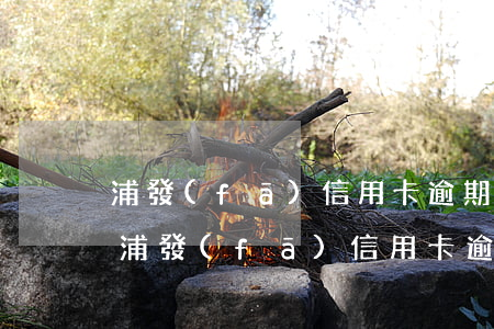 浦發(fā)信用卡逾期90天以上怎么辦(浦發(fā)信用卡逾期90天以上怎么辦)