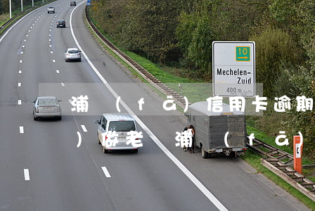 浦發(fā)信用卡逾期90天會(huì)做老媽(浦發(fā)信用卡8000元逾期一年,會(huì)起訴立案嗎)