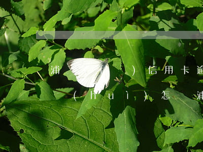 浦發(fā)信用卡逾期一個(gè)星期會(huì)怎樣(浦發(fā)銀行信用卡 逾期)