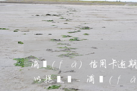 浦發(fā)信用卡逾期一個(gè)月可以提額嗎-浦發(fā)信用卡逾期一個(gè)月可以提額嗎知乎