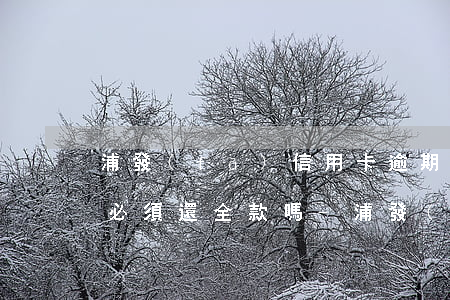 浦發(fā)信用卡逾期一個(gè)月就必須還全款嗎-浦發(fā)信用卡逾期一個(gè)月就必須還全款嗎