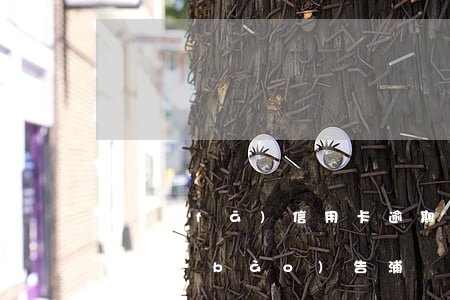 浦發(fā)信用卡逾期一個(gè)月征信報(bào)告 浦發(fā)信用卡逾期一個(gè)月征信報(bào)告顯示什么