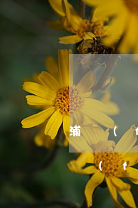 浦發(fā)信用卡逾期一個(gè)月(浦發(fā)信用卡逾期一個(gè)月還進(jìn)去還能用嗎)