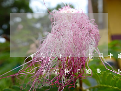 浦發(fā)信用卡逾期一個星期 浦發(fā)信用卡逾期一個星期