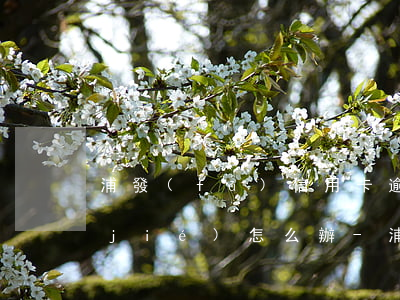 浦發(fā)信用卡逾期一個星期被凍結(jié)怎么辦-浦發(fā)信用卡逾期一個星期被凍結(jié)怎么辦啊