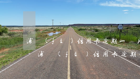 浦發(fā)信用卡逾期一個月不能提額嗎-浦發(fā)信用卡逾期一個月不能提額嗎怎么辦