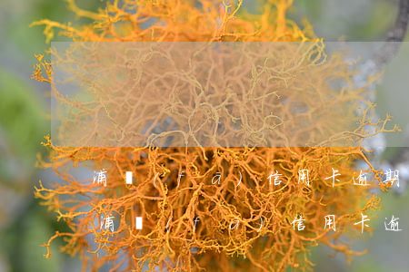 浦發(fā)信用卡逾期一個月全額還款-浦發(fā)信用卡逾期一個月全額還款會怎么樣