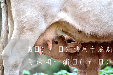 浦發(fā)信用卡逾期一個月還了之后還可以用-浦發(fā)信用卡逾期一個月還了之后還可以用嗎