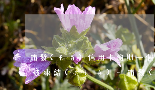 浦發(fā)信用卡逾期一個月還了最低會被凍結(jié)-浦發(fā)信用卡逾期一個月還了最低會被凍結(jié)額度嗎