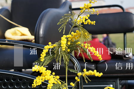 浦發(fā)信用卡逾期一個月還能最低還款-浦發(fā)信用卡逾期一個月還能最低還款嗎