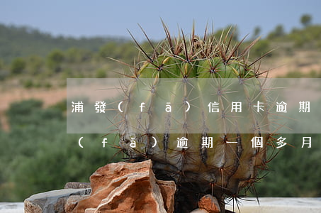 浦發(fā)信用卡逾期一個月還進去 浦發(fā)逾期一個多月還了 什么時候可以用