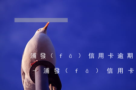浦發(fā)信用卡逾期一天利息600多-浦發(fā)信用卡逾期一天利息600多正常嗎
