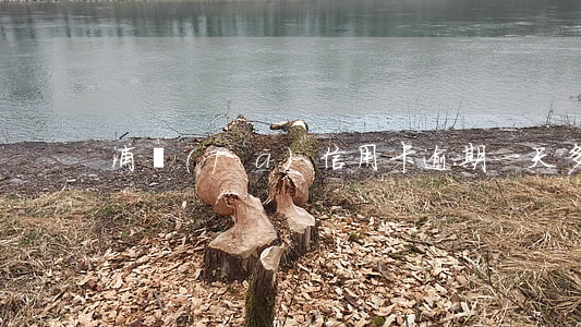 浦發(fā)信用卡逾期一天多少錢