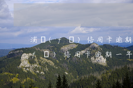 浦發(fā)信用卡逾期一天怎么辦(浦發(fā)信用卡逾期一年怎么協(xié)商)