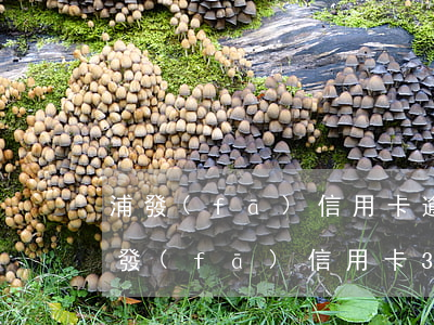 浦發(fā)信用卡逾期一天收滯納金嗎(浦發(fā)信用卡3天算逾期嗎)